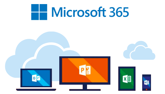 microsoft office 365 belfast